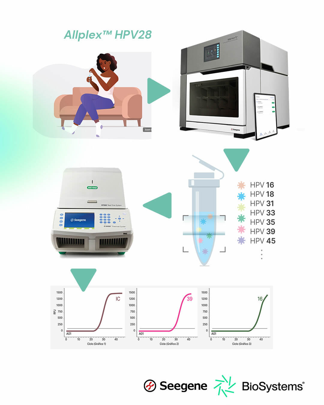 🧬 Detección y genotipificación del VPH: workflow completo, automatizado y validado