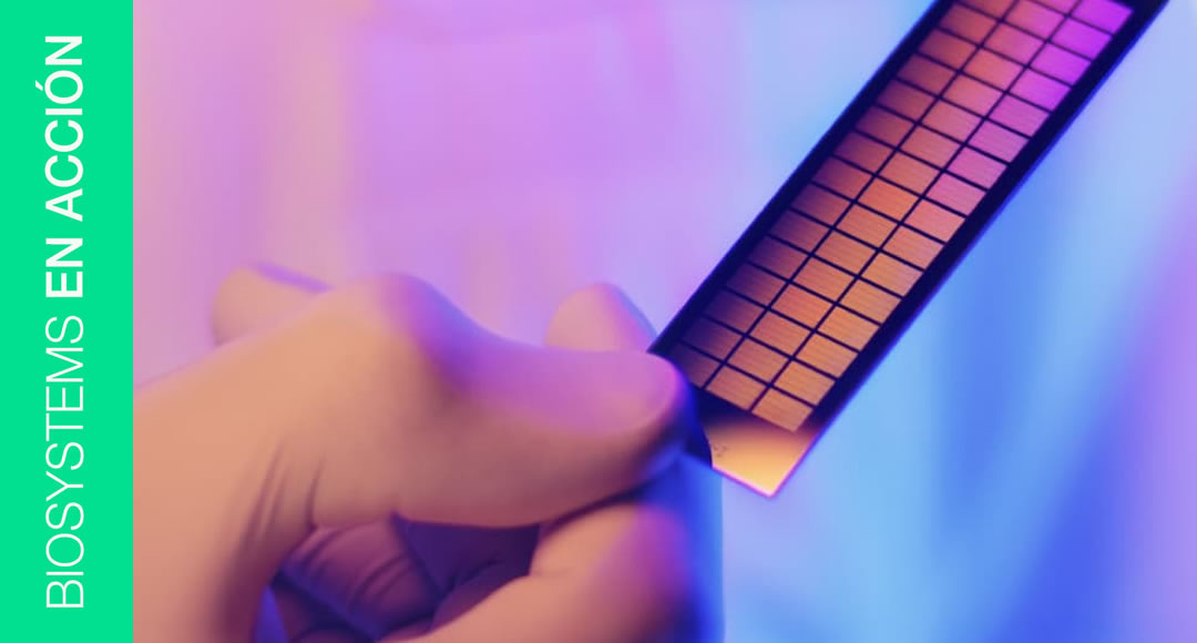 🔬 Convocatoria abierta: Beca de Investigación Epigenética Illumina 2025 🧬