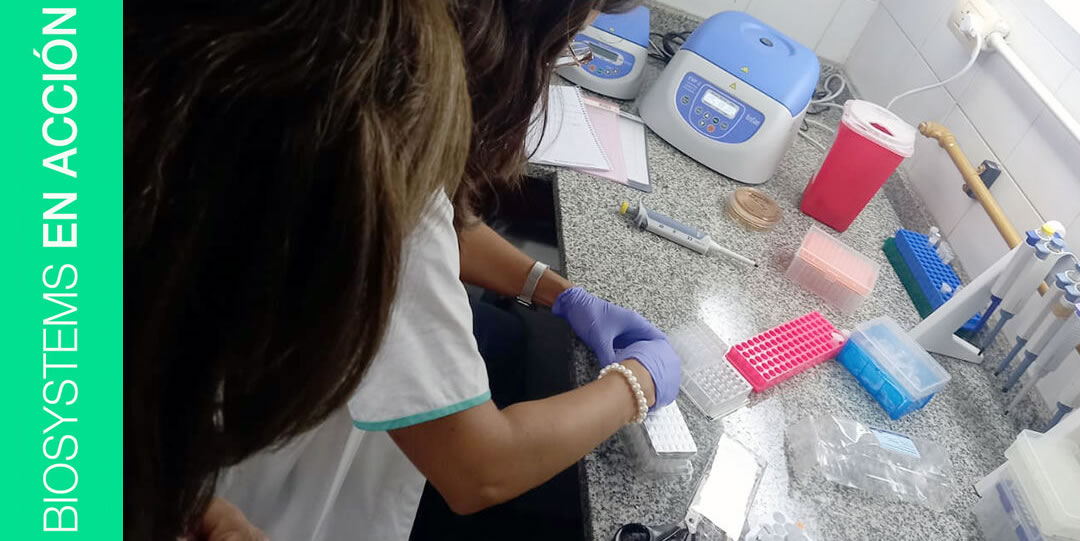 Instalación y capacitación del extractor automático de ácidos nucleicos Maelstrom Switch 8 de TANBead