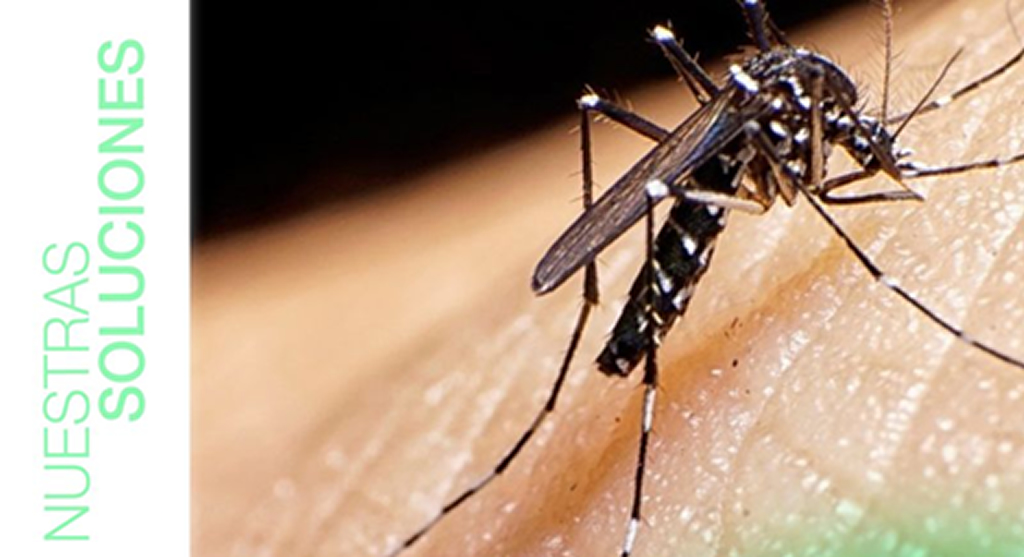 ¡En Biosystems, estamos comprometidos con la problemática del dengue en nuestro país!
